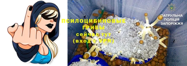 2c-b Алзамай