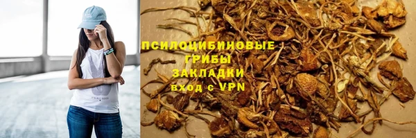 2c-b Алзамай